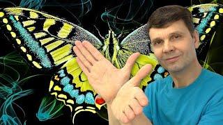   Теория Хаоса  +  Эффект бабочки  =  Море бесплатной энергии!!!  Butterfly Effect  Игорь Белецкий