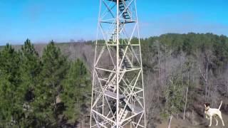 The Ultimate High-Fenced Preserve and Entertainment Facility in North Florida