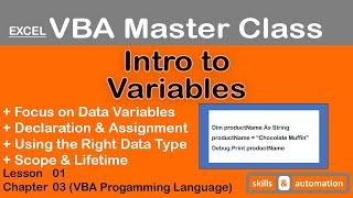 Variables || Excel VBA Master Class || 3.1