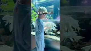 세계 최대 규모 수족관 카페 #아쿠아가든 #아쿠아가든일산 #아쿠아리움 #수족관 #수족관카페
