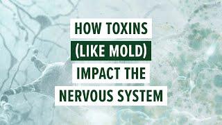 How toxins (like mold) impact the nervous system #healing #nervoussystemregulation