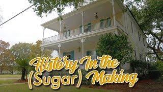 History in the (Sugar) Making