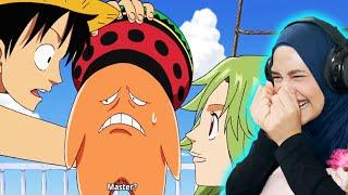 LUFFY DOESN'T UNDERSTAND MERMAID  One Piece Reaction