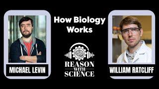 How biology works with Michael Levin and William RatCliff | Reason with Science | Evolution