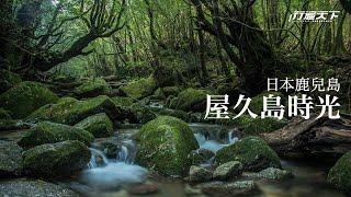 【行遍天下】11月號2019第327期－日本鹿兒島．屋久島時光