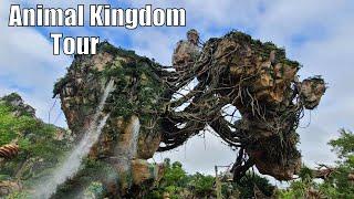 Disney World's Animal Kingdom Tour - Part 1