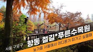 구로구 항동 철길과 푸른수목원 산책 [서울에서 작은 여행]