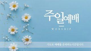 LCC LIVE 주일예배 (2025. 6.15)