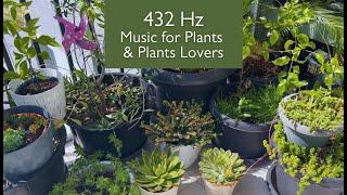 Music for Plants  432 Hz Frequency for Powerful Growing and Healing