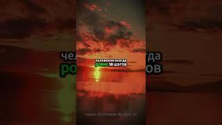 Общаясь с человеком всегда помни... Мудрые цитаты