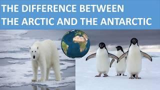 THE DIFFERENCE BETWEEN THE ARCTIC AND THE ANTARCTIC || SCIENCE VIDEO FOR KIDS