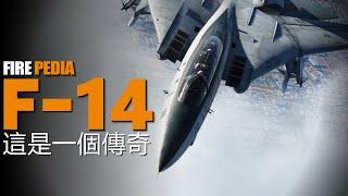F-14雄貓，美軍傳奇艦載機！變後掠翼時代，雄貓巔峰戰績！升級版雄貓，超越超級大黃蜂！火力君的最愛，世界最帥戰機！| 艦載機 | 不死鳥 | F-15 | 大黃蜂 | F-16 | 火力君 |