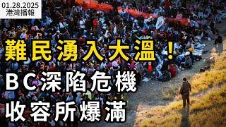 難民湧入大溫！BC省深陷無證移民危機: 收容所爆滿 ；加拿大華人崩潰！ 周邊鄰居10多戶半夜被砸 窗戶全是大洞； 重大變化！加拿大牛奶金新規 網友罵翻（《港灣播報》0128-1 CACC）