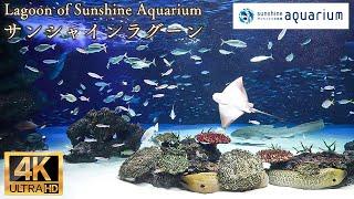 【4K】サンシャインラグーン サンシャイン水族館  ( Lagoon of Sunshine Aquarium Tokyo Japan )