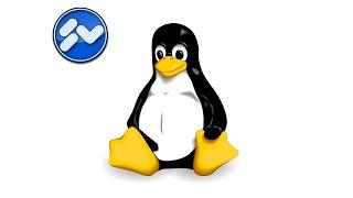 Linux: Windows 10 als VM installieren