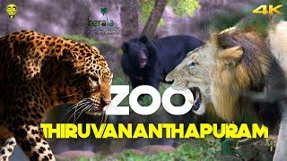 പുള്ളിപ്പുലി മുതൽ അനാക്കോണ്ട വരെ!  Thiruvananthapuram Zoo Kerala | Ramesh & Suresh Vlogs