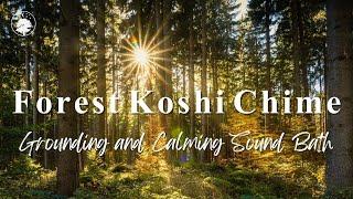 Forest Koshi Chime | Gentle & Grounding Sound Bath  | 432 Hz