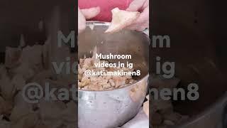 #Funguscleaningvideo #@kati.makinen8 #Mushroomvideo #Fungusvideo #Spongevideo #Lactariustorminosus