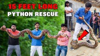 Saving 4 Python Snakes- इसने ऐसा जकड़ा, छुड़ाना मुश्किल हो गया