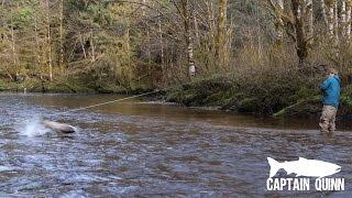 Captain Quinn Hooks a Beast Spring Steelhead on his Single Hand