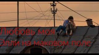 Элли на маковом поле - Любовь моя (текст песни)