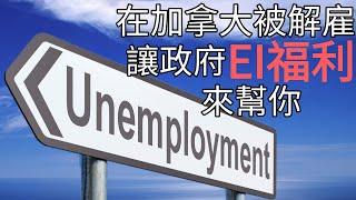 什麽是失業保險Employment Insurance | 哪些情況下可以申請EI福利 | 申請EI有哪些需要注意的地方 |最近加拿大超過100萬人申請EI，你符合資格嗎？|