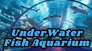 UnderWater Fish Aquarium Tunnel in Delhi || Sandeep Baisoya Vlogs