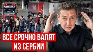 Почему все бегут из Сербии? Неудобная правда