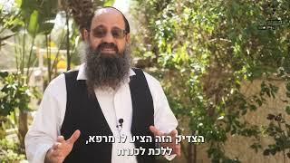הכוח המרפא של זוהר הסולם החדש: המלצה מאת הרב שקד אליהו פנחס