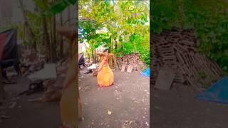 #Sham Hai dhuan dhuan# #short# #tendingdance# #virql#mostvira##dance #