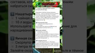 основные подкормки для рассады