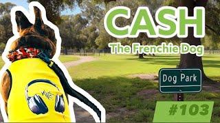 French Bulldog: Cash Archivaldo Music On #103