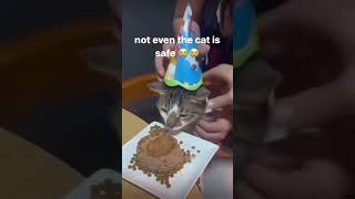 #cat #dog #pets #funny #funnyvideos #foryou #music