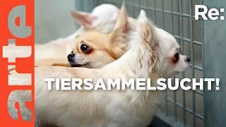 Wenn Menschen krankhaft Tiere sammeln | ARTE Re: Reupload