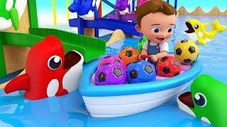 Dolphins Color Balls Tumbling Toy Set 3D - Little Baby Learning Colors for Children Kids Educational