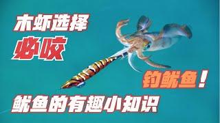 Ultimate Guide to Choosing the Perfect Squid Jig (EN Sub) 钓鱿鱼木虾选择终极攻略