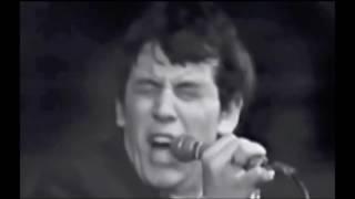 Talkin' About You - The Animals - 1965 live