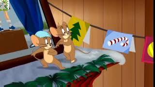 tom and jerry