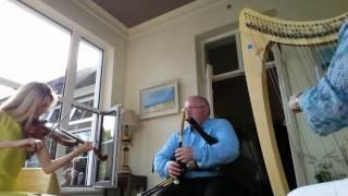 Trad Harp Trio
