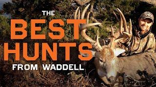 Over 1 HOUR of the BEST Hunts from Michael Waddell | Whitetail and Mule Deer Hunts from Monster Buck