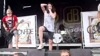 Cant see the forest for the trees- Confide ( LIVE at warped 2010 CINCI)