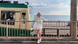 japan vlog  where to shop, best curry, kamakura day trip