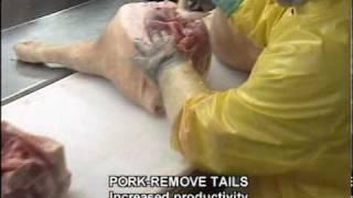 PorkTails.wmv