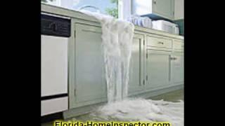 Mold Inspector Miami | Mold Inspection Miami FL |