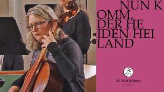 J. S. Bach - Cantata BWV 62 "Nun komm, der Heiden Heiland" (J. S. Bach Foundation)