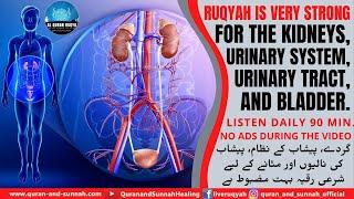 RUQYAH FOR THE KIDNEYS, URINARY SYSTEM, URINARY TRACT & BLADDER. INSHA ALLAH, YOU WILL BE RELIEVED 