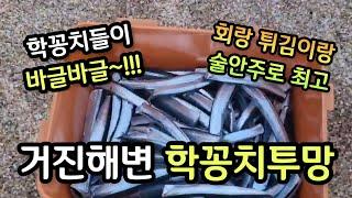 바다투망, 거진해변 학꽁치투망 숭어투망, sbs생활의달인 바다투망달인 제보, 고성 동해바다여행, 해수욕장폭죽놀이, cast net fishing, playpesca