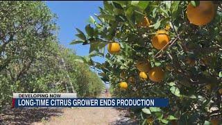 Long-time citrus grower ends production in Florida