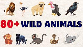 80+ Wild Animals | Learn Animals Name In English With Pictures | Animals Vocabulary In English