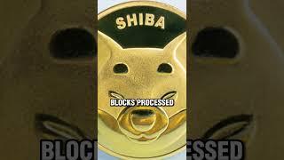 SHIBA INU: SHIBARIUM BETA TRANSACTIONS #shibainu #shib #shiba